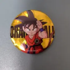 貴重 DRAGON BALL Z in J-WORLD ベジータ 缶バッジ - メルカリ