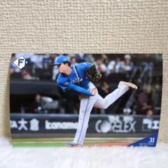 北海道日本ハムファイターズ　ハイライトフォト　柴田獅子　2025/10/07