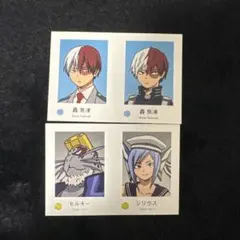 轟焦凍 僕のヒーローアカデミア Wariふぉと!