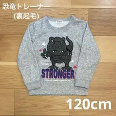 恐竜トレーナー 裏起毛 120cm