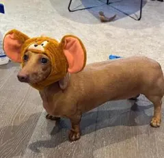 ミッキー耳帽子 小型犬用