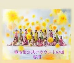 乃木坂46 真夏の全国ツアー2026 缶バッジ 専用のサムネイル