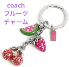 2026年最新】coach いちご キーホルダーの人気アイテム - メルカリ