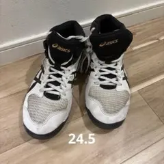 asics DUNKSHOT バスケットボールシューズ 24.5のサムネイル