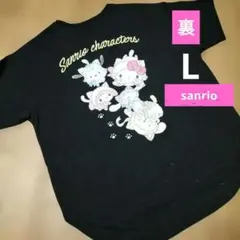 限定商品】 FRUITS ZIPPER ハローキティTシャツ 鎮西寿々歌 XL - メルカリ