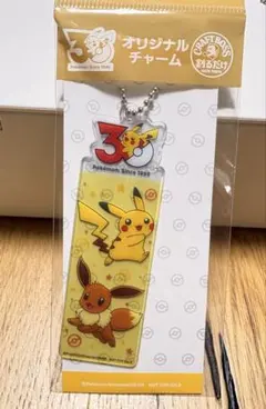 11-ポケモン オリジナルチャーム ピカチュウ イーブイ CRAFT BOSSのサムネイル