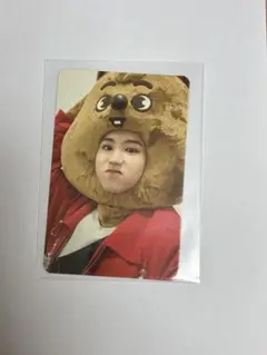 straykids スキズ SKZOO ハン ジソン クォッカ クオッカ トレカ