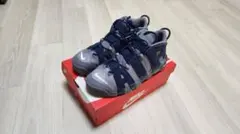 【新品未使用】Nike モアアップテンポ'96 29cm