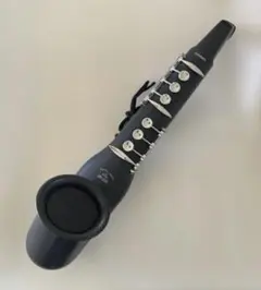 CASIO カシオ 電子サックス ピンズ 2025年最新】カシオ デジタルホーンの人気アイテム - メルカリ