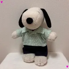 【ぬい服】シャツ&パンツセット⭐︎フレンズサイズ