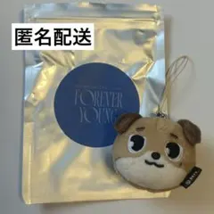 2025年最新】デニマルズの人気アイテム - メルカリ