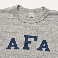 【未使用】WAREHOUSE ウエアハウス 半袖 Tシャツ XL グレーのサムネイル