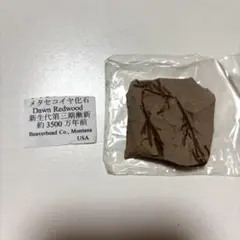 Item thumbnail for item 8e2cc71a-1537-4c1b-8701-c3bdfc17f9dc