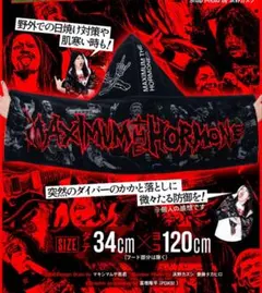 2026年最新】マキシマム ザ ホルモン グッズの人気アイテム - メルカリ