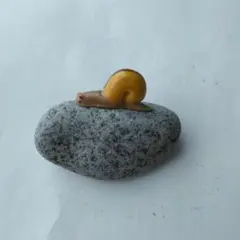 ペーパーストーン　かたつむり