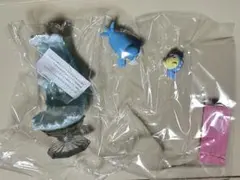 ポケットモンスター　ダイヤモンドダスト　タマザラシ