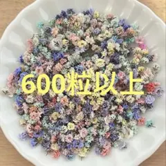 ちほ様 リクエスト 5点 まとめ商品