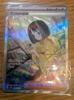 エリカの招待SAR エリカの招待SAR