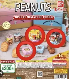 PEANUTS ビスケットミニチュアチャーム 3種セット(コメント後購入可