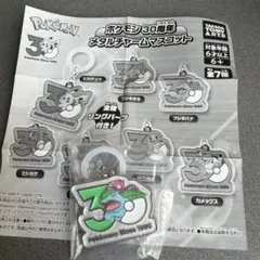 ポケモン メタルフォームマスコット 30周年