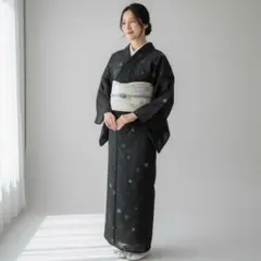 【美品】正絹夏物 絽小紋 裄68 夏着物 2026年最新】夏着物 正絹裄68の人気アイテム - メルカリ