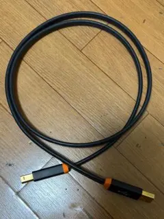 NEO by oyaide d+ USB classA 1メートル