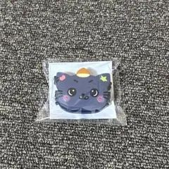 nctwish うちわアクセサリー　リク