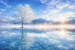 冬の絶景 氷の木 デジタルアート イラスト ポストカード