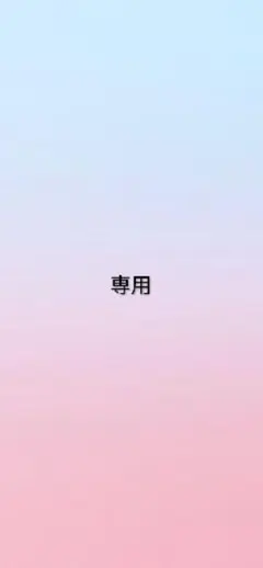 専用ページ