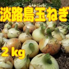 鹿児島県産砂丘らっきょう 2kg - メルカリ