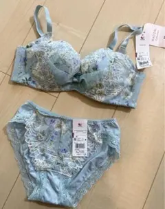 Wacoal ワコール　リボンブラ　水色　青　B80 花柄刺繍　下着