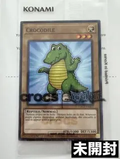 未開封　Yu-Gi-Oh! x Crocs CROCODILE カード