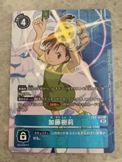 2025年最新】加藤樹莉 パラレルの人気アイテム - メルカリ