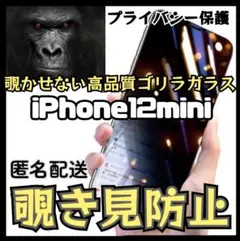 周りから覗かせないiPhone12mini高品質　覗き見防止強化ガラスフィルム