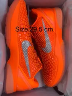 Nike Kobe 6 Protro 