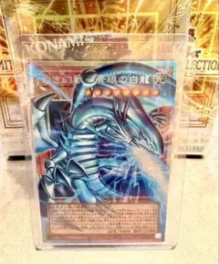 遊戯王 白き幻獣 青眼の白龍