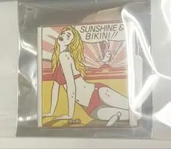RIP SLYME リップスライム 熱帯夜 ジャケット マグネット 磁石 グッズ