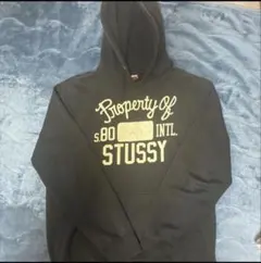 kaki様専用‼️STUSSY SportAppHoodieプルオーバーパーカー - メルカリ