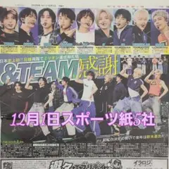 匿名配送！送料込み！ 12月1日 朝刊　 スポーツ紙全5社