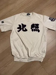 北照公式戦チャージトップ