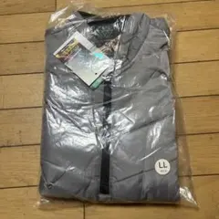 Item thumbnail for item 27dcac16-1c1a-48b7-9000-9e2fb535193a