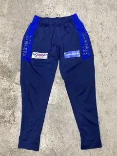 ブラウブリッツ秋田ピステパンツ Lサイズ ネイビー