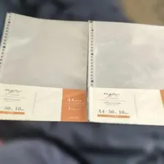 Item thumbnail for item 390d50d5-5ee2-4d6c-a0ff-39baf9af27f4