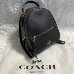 ふくちゃん様専用　極美品✨　コーチ　リュック　バックパック　レザー　シグネチャー