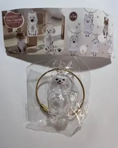 わんこのタイムカプセル　ラテ