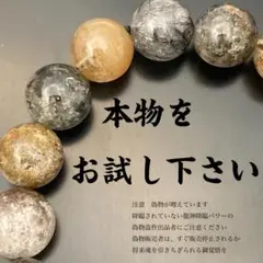 龍の棲む財運を象徴する　輪廻とマワリテメグル　究極守護石　龍神龍宮庭園水晶 2025年最新】龍神庭園水晶の人気アイテム - メルカリ