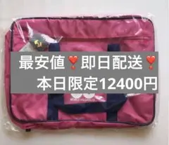 WORLD PEGASUS 旧型 ピンクのサムネイル