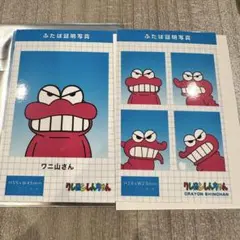 即購入◎　クレヨンしんちゃん証明写真風スマロイド　ワニ山さん