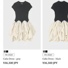 thetoe Calla Dress グレー Sサイズのサムネイル