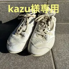 Item thumbnail for item 76313aad-0aa6-436e-bc3d-573973ad19e5